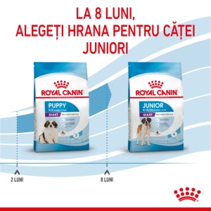 Hrana uscata pentru caini, Royal Canin Giant Puppy, 3,5 Kg - Img 6
