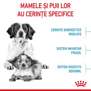 Hrana uscata pentru caini, Royal Canin Medium Starter MB, 15 Kg - Img 9