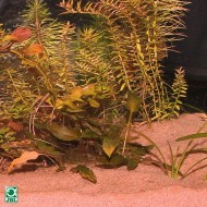 Substrat pentru acvariu, JBL Sansibar Red 5kg