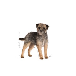 Hrana umeda pentru caini, Royal Canin, Sterilized Pouch, 85g - Img 3