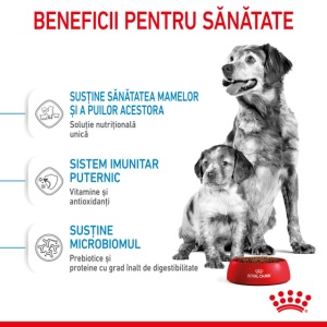 Hrana uscata pentru caini, Royal Canin Medium Starter MB, 15 Kg - Img 10
