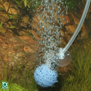 Piatra aer acvariu, JBL, ProSilent Aeras Micro Ball L - Img 3