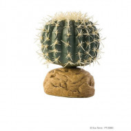 Plante terariu, Exo Terra, Barrel Cactus Small PT2980