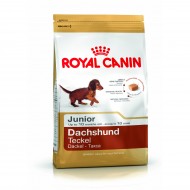 Hrana uscata pentru caini, Royal Canin, Dachshund Junior, 1.5Kg