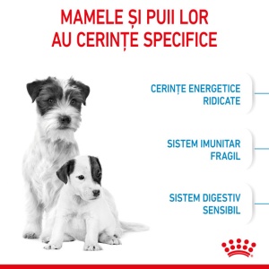 Hrana uscata pentru caini, Royal Canin Mini Starter, 8 Kg - Img 3