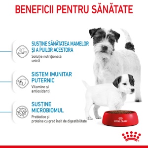 Hrana uscata pentru caini, Royal Canin Mini Starter, 8 Kg - Img 4