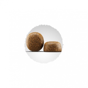 Hrana uscata pentru caini, Josera, Large Breed, 15kg - Img 2