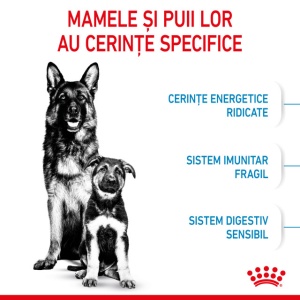 Hrana uscata pentru caini, Royal Canin Maxi Starter MB, 4 Kg - Img 3