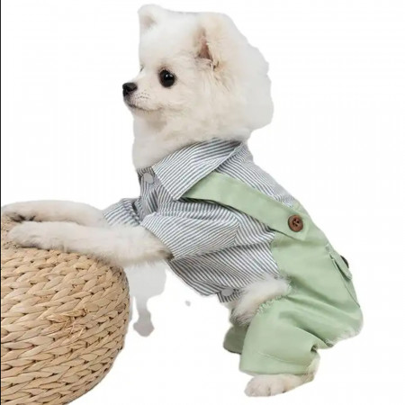 Haina tip salopeta Pufo Doggye pentru caini, verde/ alb