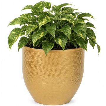 Ghiveci decorativ metalic Pufo Garden pentru flori, Ø 16 cm, auriu