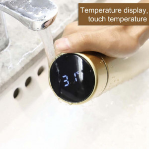 termos cu indicare temperatura 