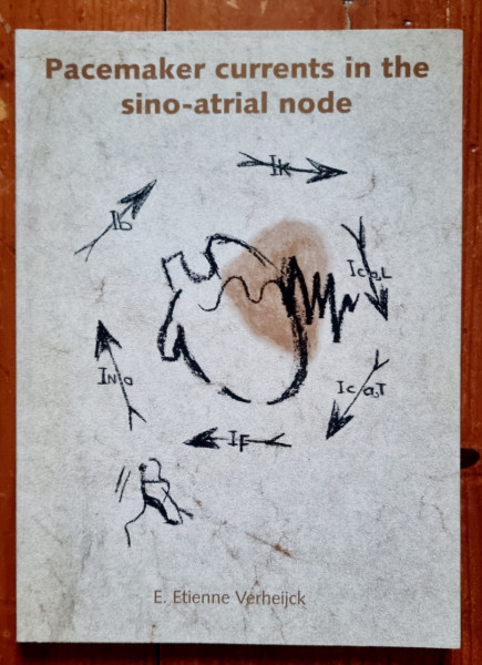 E. Etienne Verheijck - Peacemaker currents in the sino-atrial node