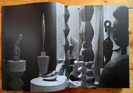 Friedrich Teja Bach, Margit Rowell, Ann Temkin - Constantin Brancusi (1876-1957) (exhibition catalog, Philadelphia Museum of Art, October 8 - December 31, 1995) - Img 2