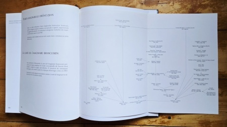 Matei Stircea-Craciun - Brancusi. Limbajele materiei (editie hardcover) - Img 8