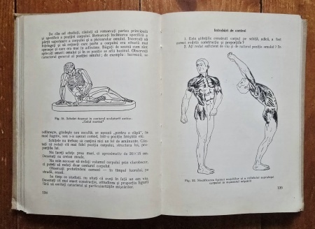 Colectiv autori - Manual de desen si pictura pentru pictorii amatori (editie hardcover) - Img 8