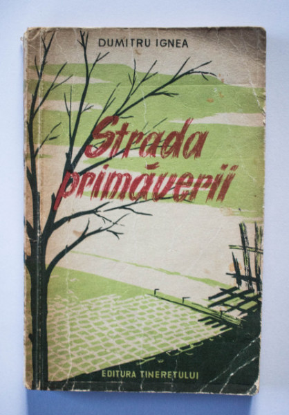 Dumitru Ignea - Strada primaverii