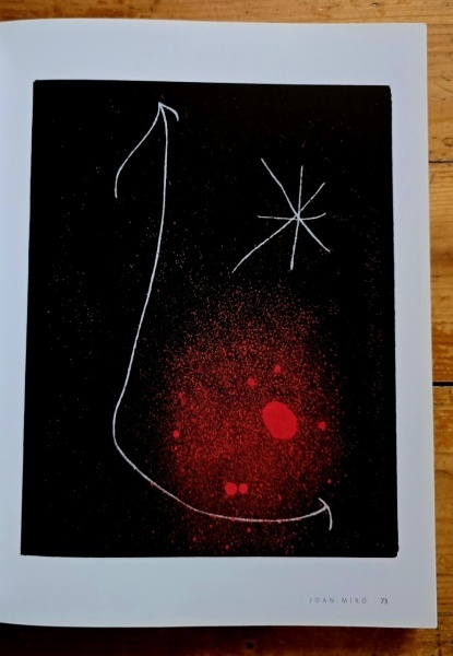 European Stars - Miro &amp; Cobra (exhibition catalog, editie hardcover, bilingva) - Img 4