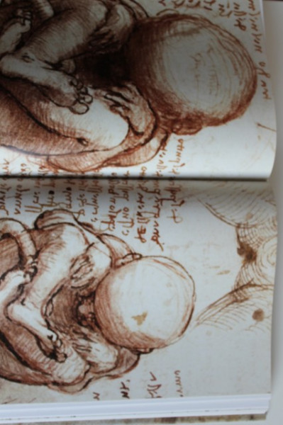Leonardo da Vinci - The Complete Paintings and Drawings (album in limba engleza) - Img 5