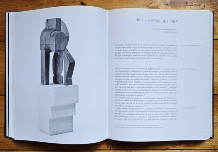 Matei Stircea-Craciun - Brancusi. Limbajele materiei (editie hardcover) - Img 5