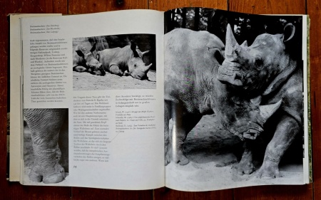 Prof. Dr. Wolfgang Ullrich, Erich und Isabella Tylinek - Seltene Tiere stellen sich vor (editie hardcover, in limba germana) - Img 2