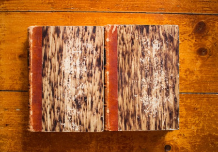 Alfred Tennyson - The Poetical Works of Alfred Tennyson (2 vol. colegate, editie hardcover, 1860) - Img 3