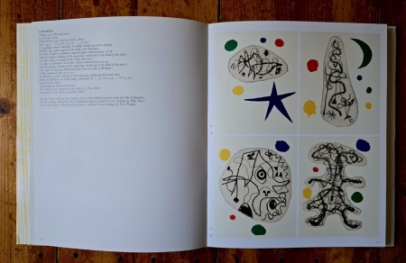 Jacques Dupin - Miro Engravings. Miro Engraver. Volume I: 1928-1960 (editie hardcover, in limba engleza) - Img 6