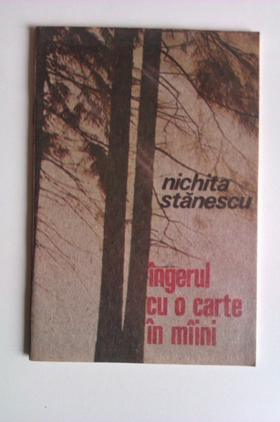 Nichita Stanescu - Ingerul cu o carte in maini