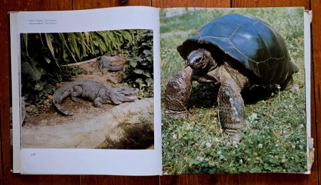 Prof. Dr. Wolfgang Ullrich, Erich und Isabella Tylinek - Seltene Tiere stellen sich vor (editie hardcover, in limba germana) - Img 3