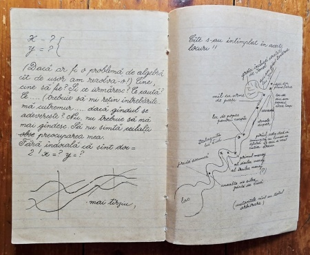 Constantin Chirita - Ciresarii - Img 4