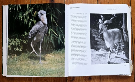Prof. Dr. Wolfgang Ullrich, Erich und Isabella Tylinek - Seltene Tiere stellen sich vor (editie hardcover, in limba germana) - Img 4