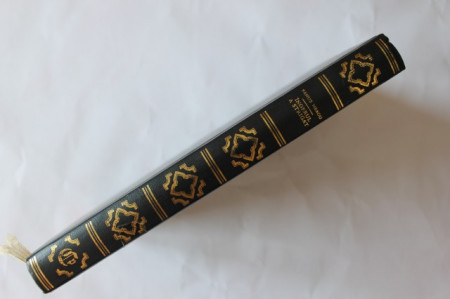 Fanus Neagu - Ingerul a strigat (editie hardcover)