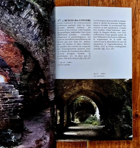 Henry Gilles - Abbaye Notre-Dame de Villers en Brabant - Img 3