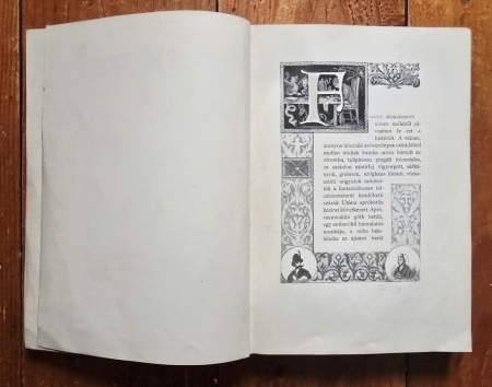 Kaposi Jozsef, Klinda Teofil - Mult es Jelen. Rajzok es elbeszelesek (editie hardcover) - Img 3
