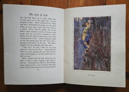 Marie, The Crown Princess of Roumania - The Lily of Life: A Fairy Tale (editie hardcover) - Img 10