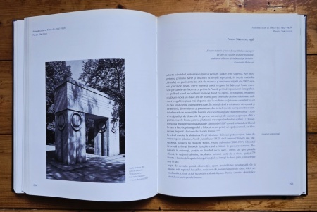 Matei Stircea-Craciun - Brancusi. Limbajele materiei (editie hardcover) - Img 6