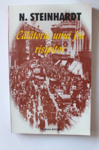 N. Steinhardt - Calatoria unui fiu risipitor