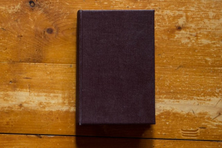Sinclair Lewis - Hotelul fericitilor (editie hardcover, interbelica, frumos relegata) - Img 2
