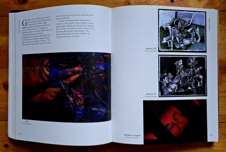 Valentin Ciuca - Un secol de arte frumoase la Iasi (editie bilingva, hardcover, in etui special) - Img 5