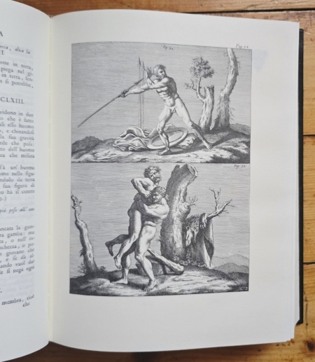 Leonard de Vinci - Le traite de la peinture de Leonard de Vinci (editie hardcover, bilingva) - Img 6