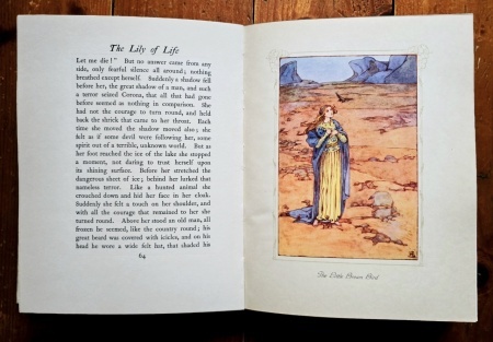 Marie, The Crown Princess of Roumania - The Lily of Life: A Fairy Tale (editie hardcover) - Img 7