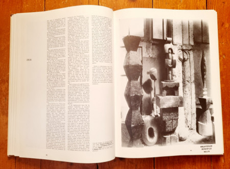 Pontus Hulten, Natalia Dumitresco, Alexandre Istrati - Constantin Brancusi (editie hardcover) - Img 2