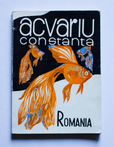 Ing. Marcel Stanciu - Acvariu Constanta