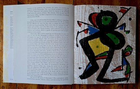 Jacques Dupin - Miro Engravings. Miro Engraver. Volume I: 1928-1960 (editie hardcover, in limba engleza) - Img 4