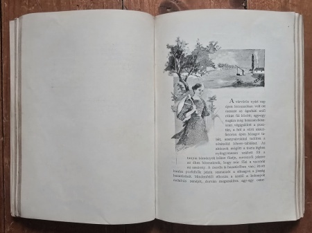Kaposi Jozsef, Klinda Teofil - Mult es Jelen. Rajzok es elbeszelesek (editie hardcover) - Img 6