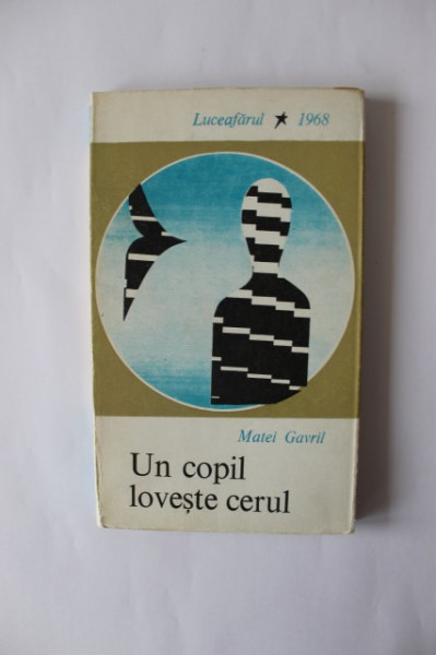 Matei Gavril - Un copil loveste cerul