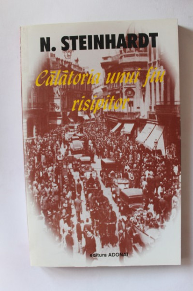 N. Steinhardt - Calatoria unui fiu risipitor