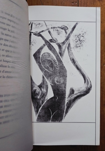 Paul Valery - Le Jeune Parque. Lithographies de Marianne Clouzot (editie bibliofila, in etui special) - Img 6