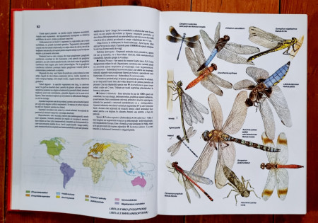 Prof. Anuta Ionescu-Andrei - Atlas zoologic (editie hardcover) - Img 3