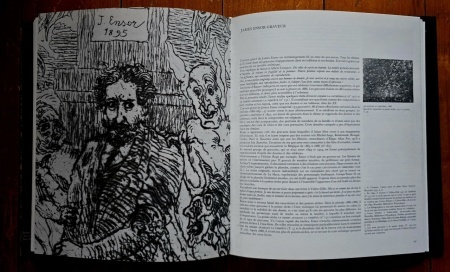 Robert Hoozee, Sabine Bown-Taevernier, J. F. Heijbroek - James Ensor. Dessins et Estampes (editie hardcover, in etui special) - Img 4