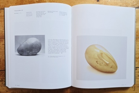 Friedrich Teja Bach, Margit Rowell, Ann Temkin - Constantin Brancusi (1876-1957) (exhibition catalog, Philadelphia Museum of Art, October 8 - December 31, 1995) - Img 11